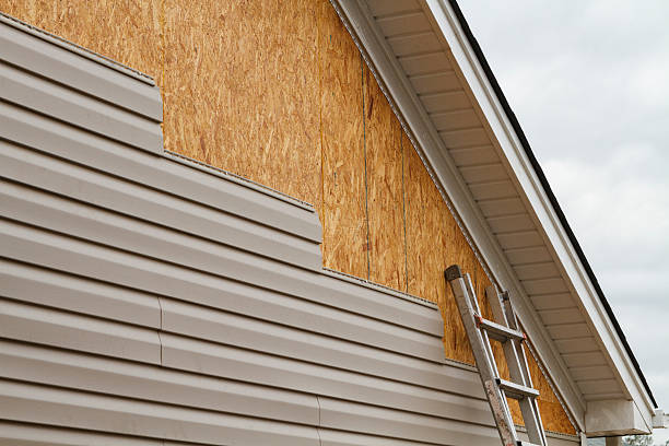 Trusted Emergency Siding Repair service in Lake City, MN - Squared Siding